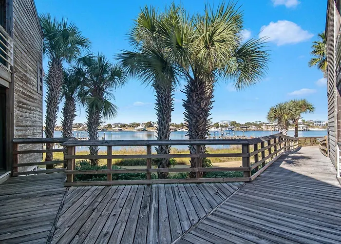 Needle Rush Point Unit D33 * Pensacola